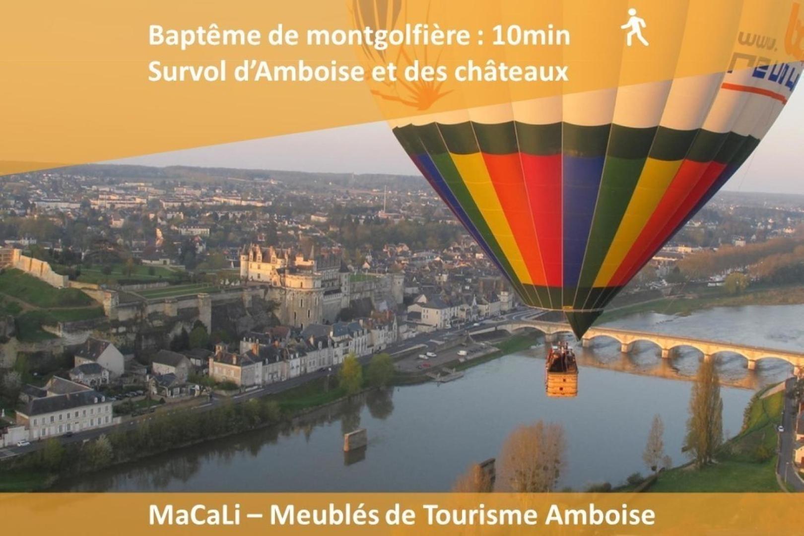 Terrasse Sur La Tour Garconnet Daire Amboise Dış mekan fotoğraf