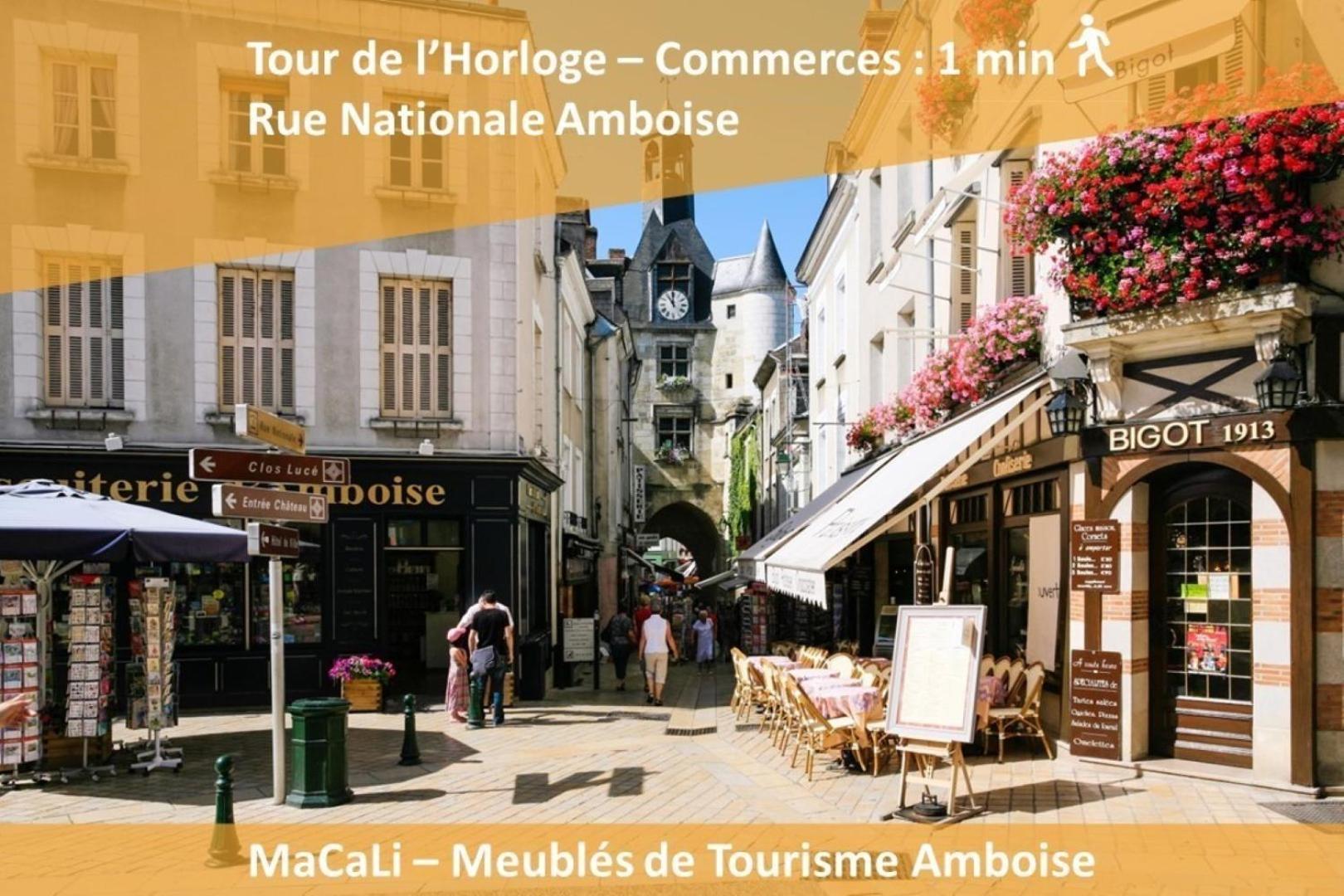 Terrasse Sur La Tour Garconnet Daire Amboise Dış mekan fotoğraf
